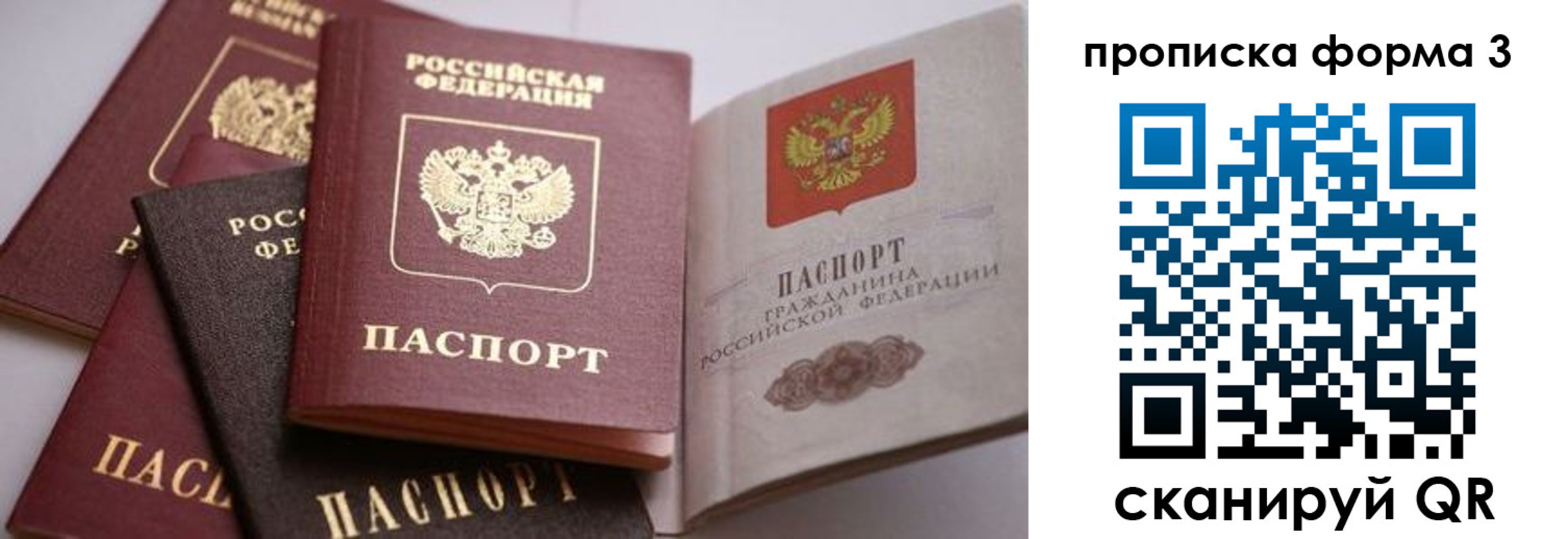 прописка для школы в Пермском крае